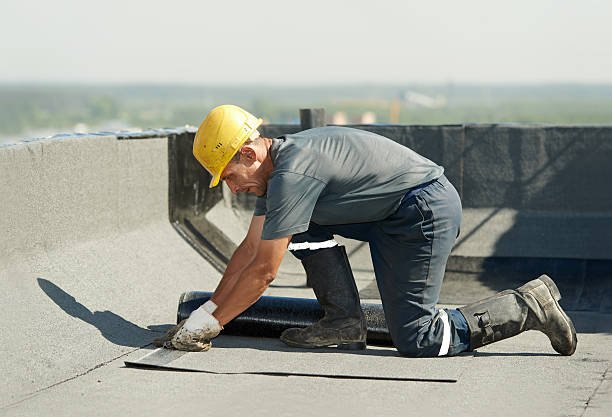 Best Crawl Space Insulation  in Elsberry, MO